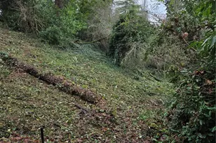 14014 41st Ave NE, Seattle, WA 98125 - Photo 5