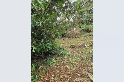 14014 41st Avenue NE, Seattle, WA 98125 - Photo 7