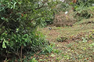 14014 41st Ave NE, Seattle, WA 98125 - Photo 7