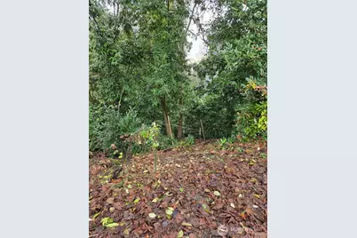 14014 41st Avenue NE, Seattle, WA 98125 - Photo 3