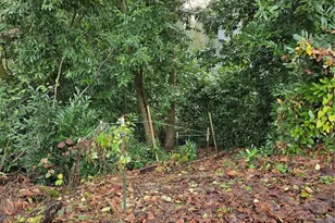 14014 41st Ave NE, Seattle, WA 98125 - Photo 3