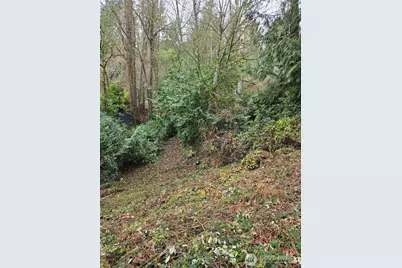 14014 41st Avenue NE, Seattle, WA 98125 - Photo 9