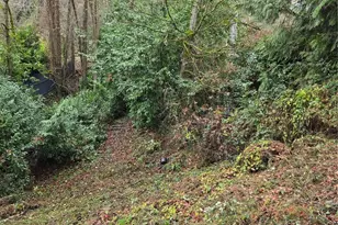 14014 41st Ave NE, Seattle, WA 98125 - Photo 9