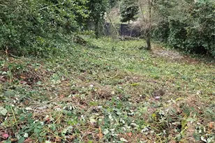 14014 41st Ave NE, Seattle, WA 98125 - Photo 11