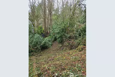 14014 41st Avenue NE, Seattle, WA 98125 - Photo 13