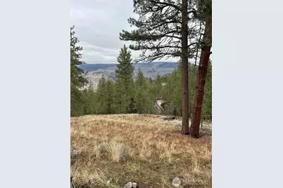 315 Reevas Basin Road, Tonasket, WA 98855 - Photo 23