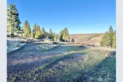 0 Lewis Peak, Dixie, WA 99329 - Photo 3