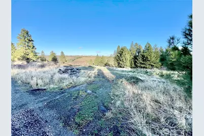 0 Lewis Peak, Dixie, WA 99329 - Photo 17