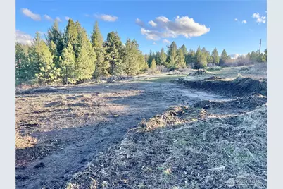 0 Lewis Peak, Dixie, WA 99329 - Photo 7