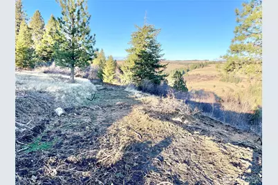 0 Lewis Peak, Dixie, WA 99329 - Photo 9