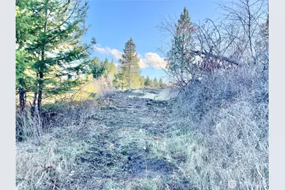 0 Lewis Peak, Dixie, WA 99329 - Photo 5