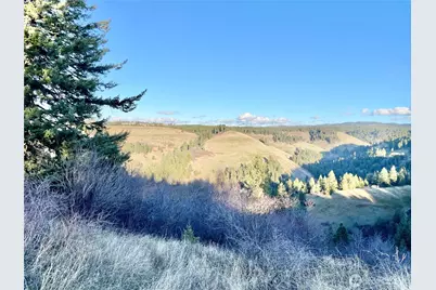 0 Lewis Peak, Dixie, WA 99329 - Photo 15