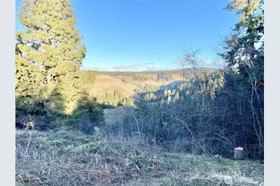 0 Lewis Peak, Dixie, WA 99329 - Photo 11