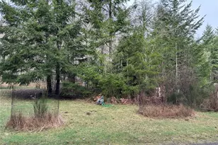 90 W Highland Rd, Shelton, WA 98584 - Photo 3