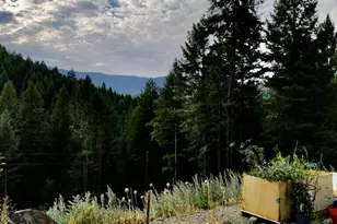 57 Slippery Hill Ln, Republic, WA 99166 - Photo 33