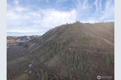 0 Tigner Road, Cashmere, WA 98815 - Photo 13