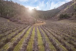 0 Tigner Rd, Cashmere, WA 98815 - Photo 1