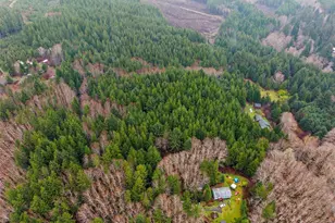 233 Smith Creek, Raymond, WA 98577 - Photo 1