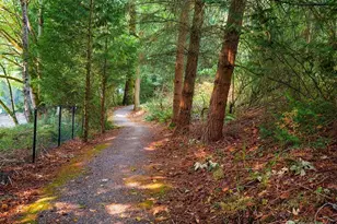 22472 SE Highland Cir, Issaquah, WA 98029 - Photo 31