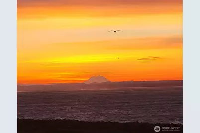 401 Westport View Street SW #502, Ocean Shores, WA 98569 - Photo 33