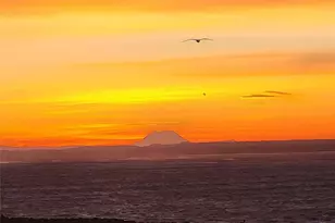 401 Westport Vw St SW, Ocean Shores, WA 98569 - Photo 33