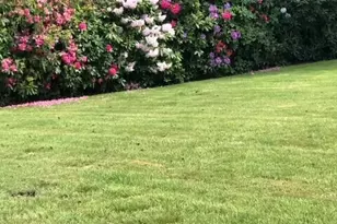 4018 103rd St NE, Marysville, WA 98271 - Photo 33