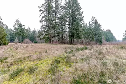 25414 48th Avenue E, Graham, WA 98338 - Photo 9