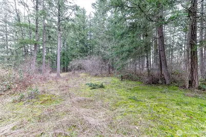 25414 48th Avenue E, Graham, WA 98338 - Photo 15
