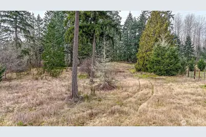 25414 48th Avenue E, Graham, WA 98338 - Photo 17