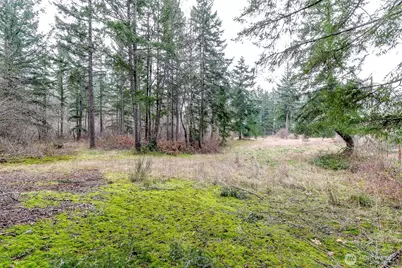 25414 48th Avenue E, Graham, WA 98338 - Photo 3
