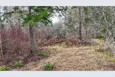 25414 48th Avenue E, Graham, WA 98338 - Photo 19