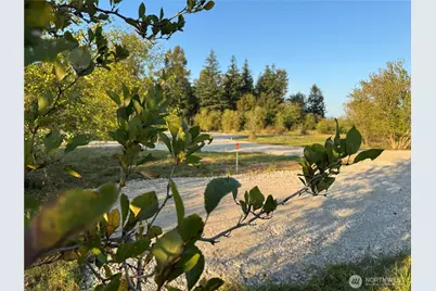 3580 Arnie Road, Custer, WA 98240 - Photo 3