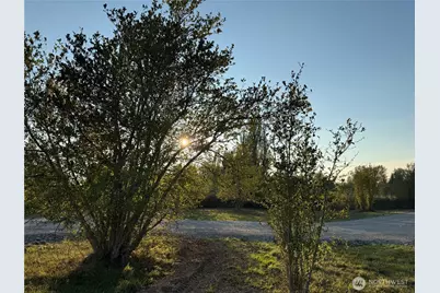 3580 Arnie Road, Custer, WA 98240 - Photo 5