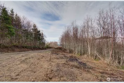 0 Remington Road, Kelso, WA 98626 - Photo 5