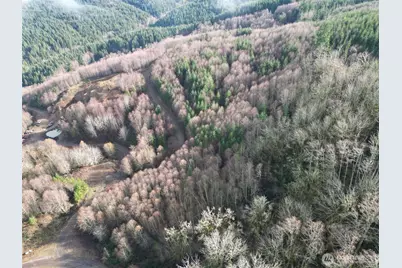 0 Remington Road, Kelso, WA 98626 - Photo 15