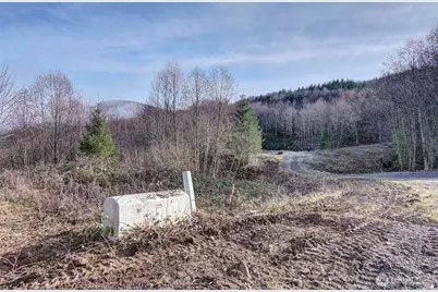 0 Remington Road, Kelso, WA 98626 - Photo 3