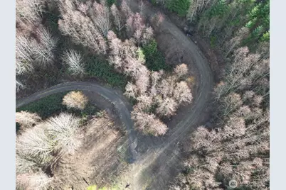 0 Remington Road, Kelso, WA 98626 - Photo 17