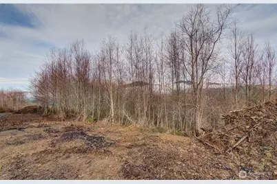 0 Remington Road, Kelso, WA 98626 - Photo 9