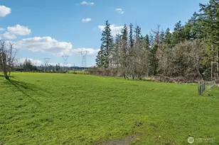 308 295th St S, Roy, WA 98580 - Photo 31