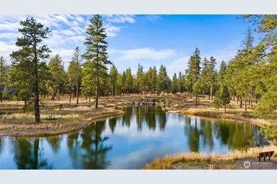 3670 Suncadia Trail, Cle Elum, WA 98922 - Photo 31