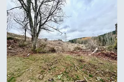 20943 Scout Camp Lane, Mount Vernon, WA 98274 - Photo 19