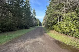 0 Willchar Blvd, Shelton, WA 98584 - Photo 1