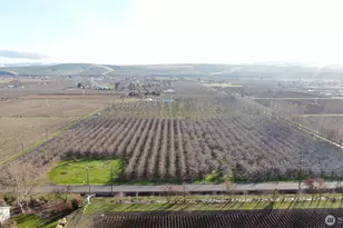 0 Hwy 332, Milton-Freewater, OR 97862 - Photo 1