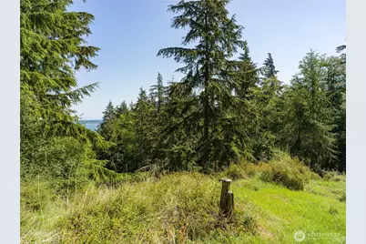 0 Sunrise Bluff Lane, Orcas Island, WA 98279 - Photo 7
