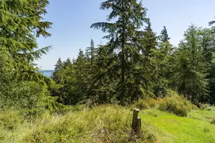 0 Sunrise Bluff Ln, Orcas Island, WA 98279 - Photo 7