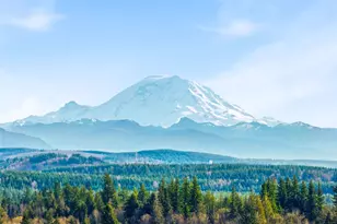 24212 SE 223rd St, Maple Valley, WA 98038 - Photo 39