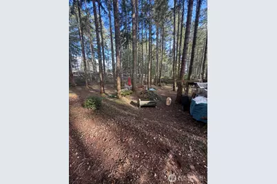 10 E Barnsby Place, Shelton, WA 98584 - Photo 17