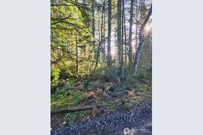 91 E Tepee Lane, Belfair, WA 98528 - Photo 3