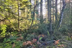 91 E Tepee Ln, Belfair, WA 98528 - Photo 3