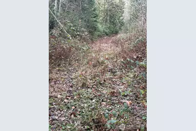 32950 NE 70th Street, Carnation, WA 98014 - Photo 5